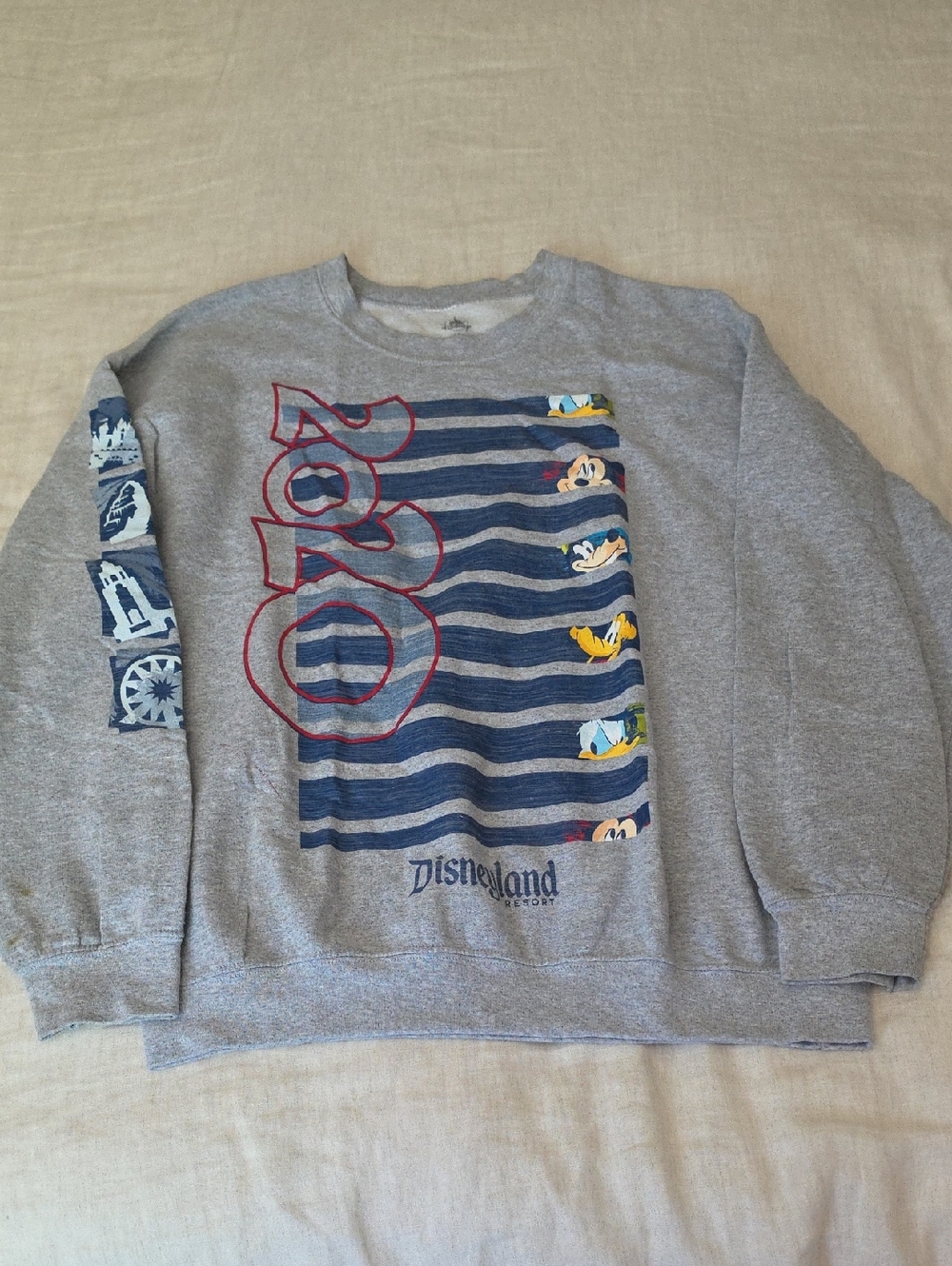 Disney 2020 Gray Pullover Sweatshirt with Blue Trim and Red Graphic